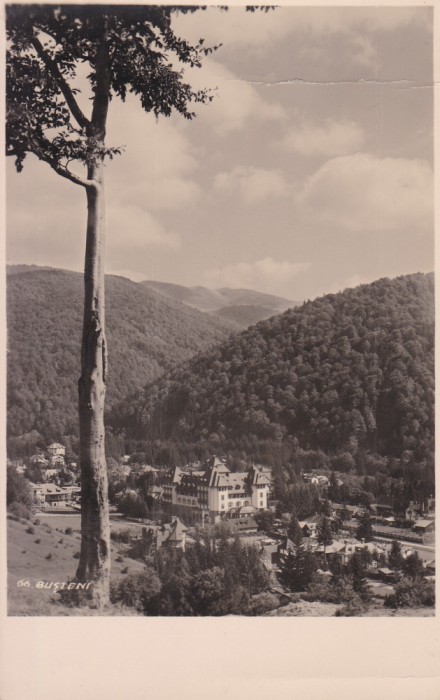 CARTE POSTALA BUSTENI