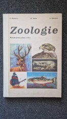 ZOOLOGIE MANUAL PENTRU CLASA A VI-A - Bogoescu, Dabija 1978