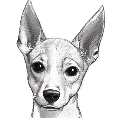 Sticker decorativ Caine Basenji, Alb, 80 cm, 8149ST foto