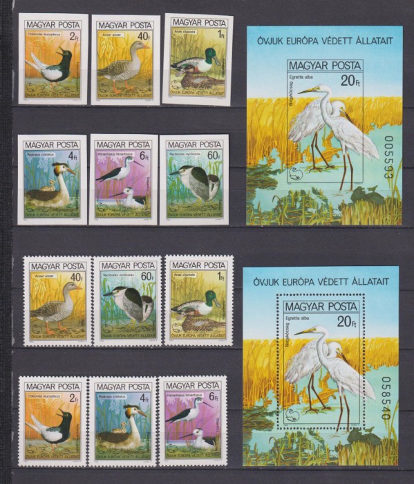 UNGARIA PASARI 1980 MI. 3451A-3456A, 3451B-3456B + BL. 146A + BL.146B MNH