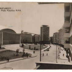 CPIB 19203 CARTE POSTALA - BUCURESTI. PIATA PALATULUI R.P.R.