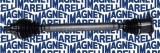 MAGNETI MARELLI 302004190102 Planetara