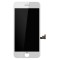 Display Lcd telefon