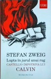 Stefan Zweig - Lupta in jurul unui rug. Castello impotriva lui Calvin
