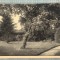 AD 206 C. P. VECHE - URSULINEN -KLOSTER LIEBENTHAL -BEZ.LIEGNITZ- CALUGARITE