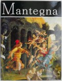 Mantegna - Alexandru Balaci - Album Pictura - Carte Arta