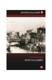 Istoria Bucureştilor - Paperback brosat - Nicolae Iorga - Vremea
