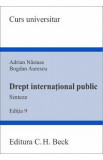 Drept international public. Sinteze Ed.9 - Adrian Nastase, Bogdan Aurescu