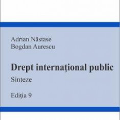 Drept international public. Sinteze Ed.9 - Adrian Nastase, Bogdan Aurescu