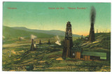 5586 - CAMPINA, Prahova, Oil Wells, Romania - old postcard - used, Circulata, Printata