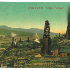 5586 - CAMPINA, Prahova, Oil Wells, Romania - old postcard - used