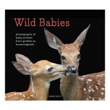 Wild Babies