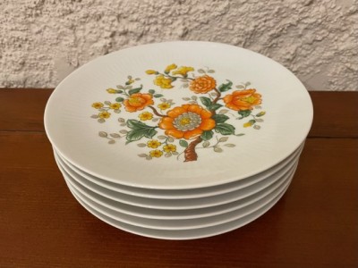 6 FARFURII PENTRU DESERT DIN PORTELAN- BAREUTHER WALDSASSEN BAVARIA D19,8CM foto
