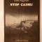 Dinu Regman - Stop cadru: poeme (cu o prefață de Ion Bogdan Lefter; 1990)