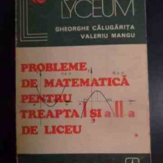 Probleme De Matematica Pentru Treapta I Si A Ii-a De Liceu - Gheorghe Calugarita Valeriu Mangu ,540582