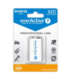 9V 6F22 320mAh Rechargeables everActive Professional-Conținutul pachetului 1x Blister