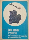 Bolile plantelor legumicole din sere, solarii si rasadnite si combaterea lor - C. Rafaila, Cristina Raicu