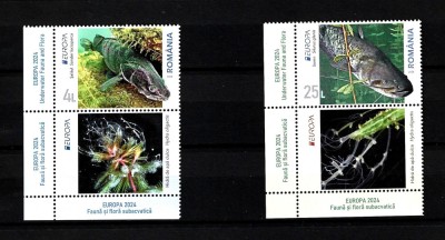 ROMANIA 2024-EUROPA 2024-FAUNA SI FLORA SUBACVATICA, VINIETA 2 DIN COALA-LP 2464 foto