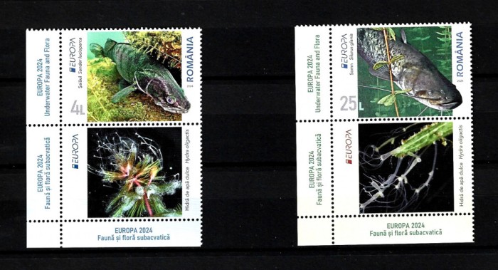 ROMANIA 2024-EUROPA 2024-FAUNA SI FLORA SUBACVATICA, VINIETA 2 DIN COALA-LP 2464