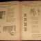 Revista copiilor si tinerimei Nr 15/1920, BD Popa, B&#039;ARG, Petrescu, Dragoescu