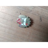 Insigne Pionieri Stema RPR