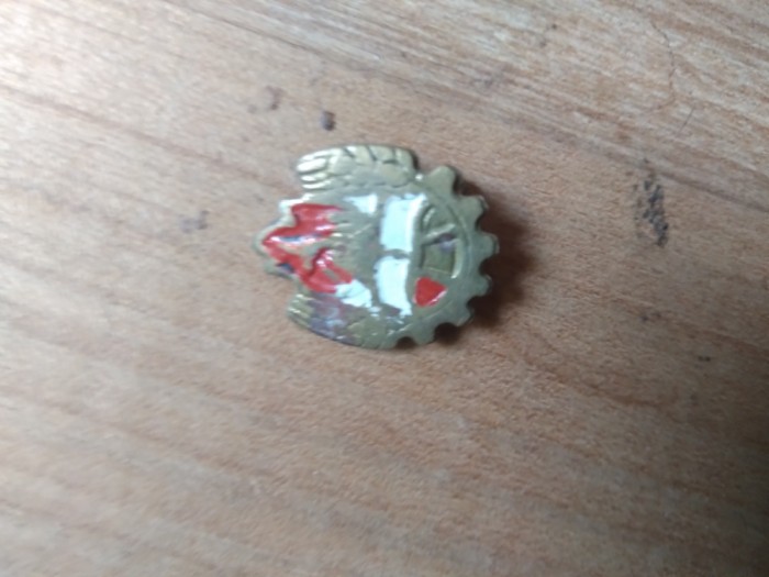 Insigne Pionieri Stema RPR
