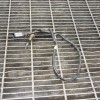Senzor de temperatură AUDI A4 Avant 8W5, B9 2016 OEM: 8W0906088E 10661946