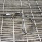 Senzor de temperatură AUDI A4 Avant 8W5, B9 2016 OEM: 8W0906088E 10661946