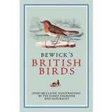Bewicks British Birds