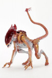 Aliens Action Figure Panther Alien (Kenner Tribute) 23 cm