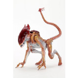 Aliens Action Figure Panther Alien (Kenner Tribute) 23 cm