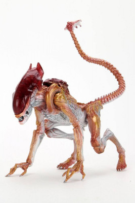 Aliens Action Figure Panther Alien (Kenner Tribute) 23 cm foto