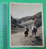 Fotografie Transilvania Țara Moților, etno.