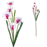 Fir orhidee cu flori albe artificiala decorativa,plastic,100 cm