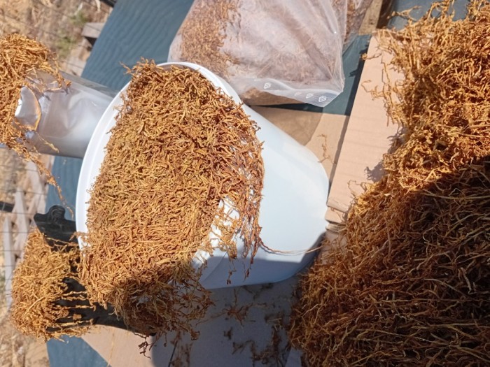 Tutun firicel de calitate