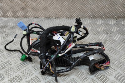 Cablaj ușă st&amp;acirc;nga față TESLA MODEL 3 2023 OEM: 3067957-02-C 22061016 foto