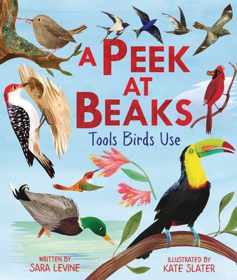 A Peek at Beaks: Tools Birds Use foto