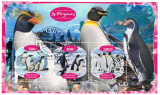 GABON 2020 - Fauna, Pinguini/ set complet colita + bloc, Stampilat