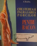 CRESTEREA SI INGRASAREA PORCILOR PENTRU BACON