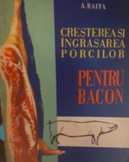 CRESTEREA SI INGRASAREA PORCILOR PENTRU BACON