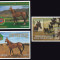 Turkmenistan 2001 Mi 109/10 + bl 11/12 MNH - Caii Akhal-Teke (I)