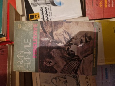 Fidelitate vintage foto