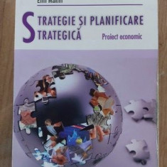 Strategie si planificare strategica Proiect economic-Emil Maxim