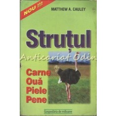 Strutul - Matthew A. Cauley