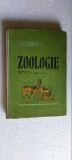 ZOOLOGIE CLASA A VI A ANUL 1960 . DABIJA ,SANIELEVICI ,POPOVICI