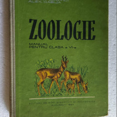 ZOOLOGIE CLASA A VI A ANUL 1960 . DABIJA ,SANIELEVICI ,POPOVICI