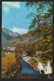 CPIB 18652 CARTE POSTALA - VALEA CERNEI, NECIRCULATA