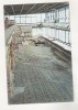 Bnk cp Constanta - Edificiul roman cu mozaic - circulata, Printata