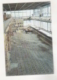 bnk cp Constanta - Edificiul roman cu mozaic - circulata