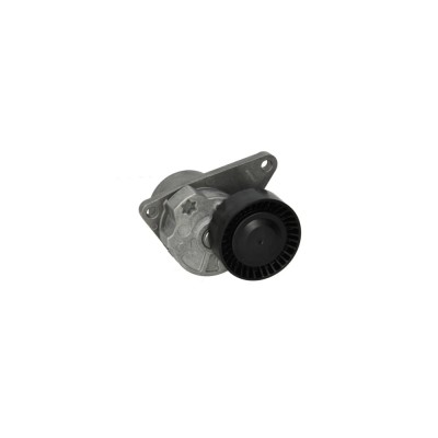 Intinzator curea VOLVO S80 I TS XY DAYCO APV2297 foto